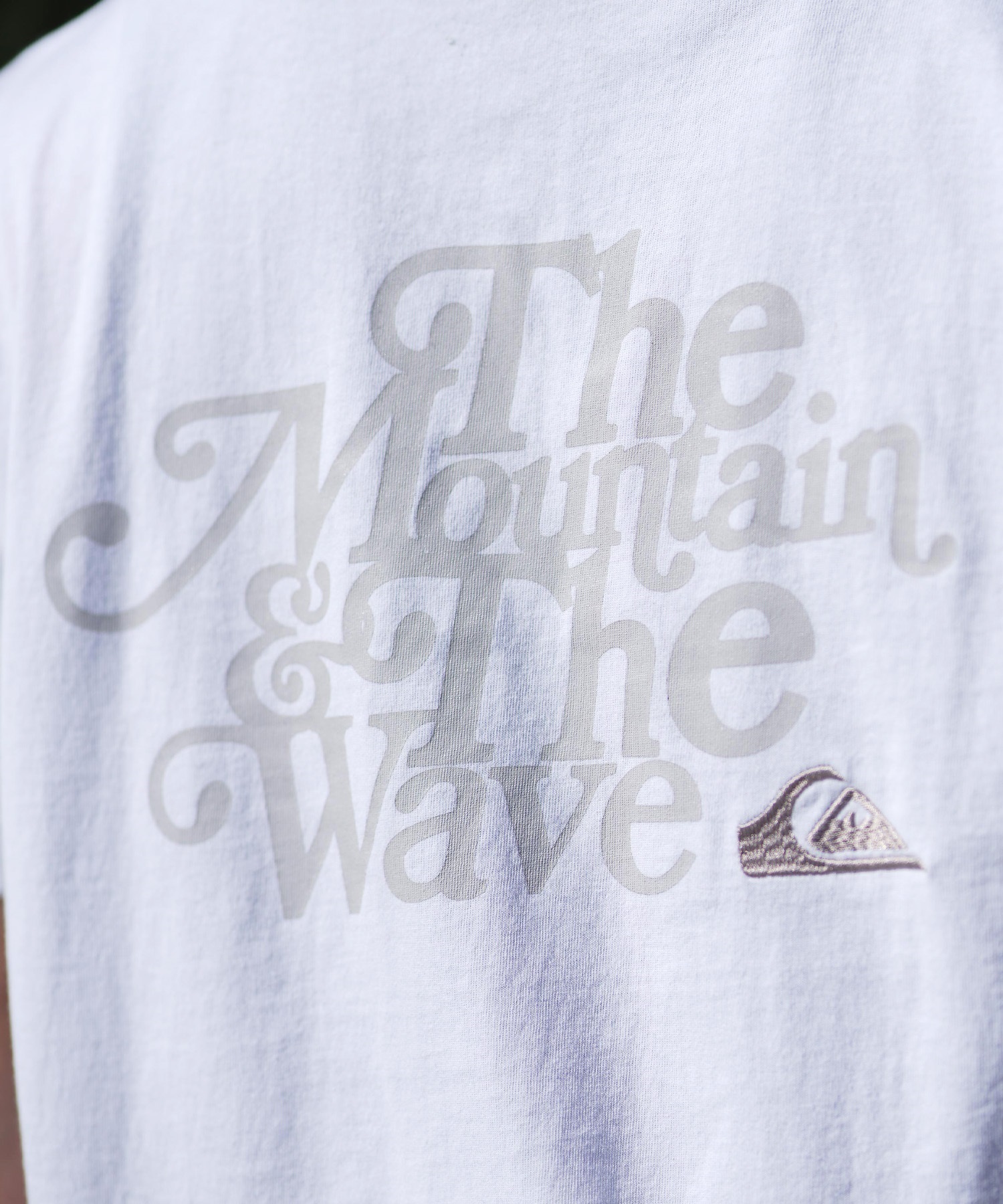 QUIKSILVER クイックシルバー 半袖 Tシャツ メンズ バック