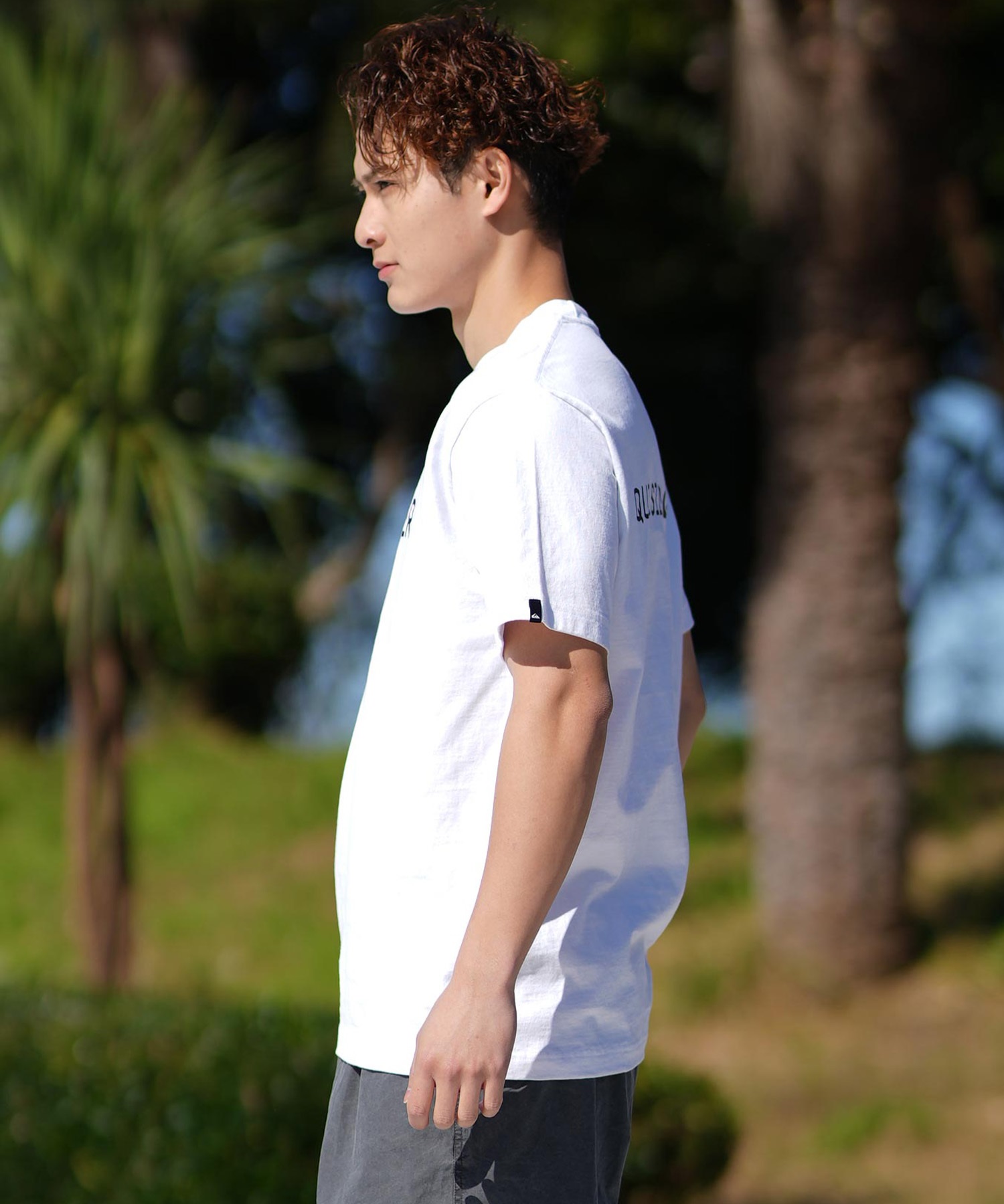 QUIKSILVER クイックシルバー 半袖 Tシャツ メンズ ブランドロゴ DNA 