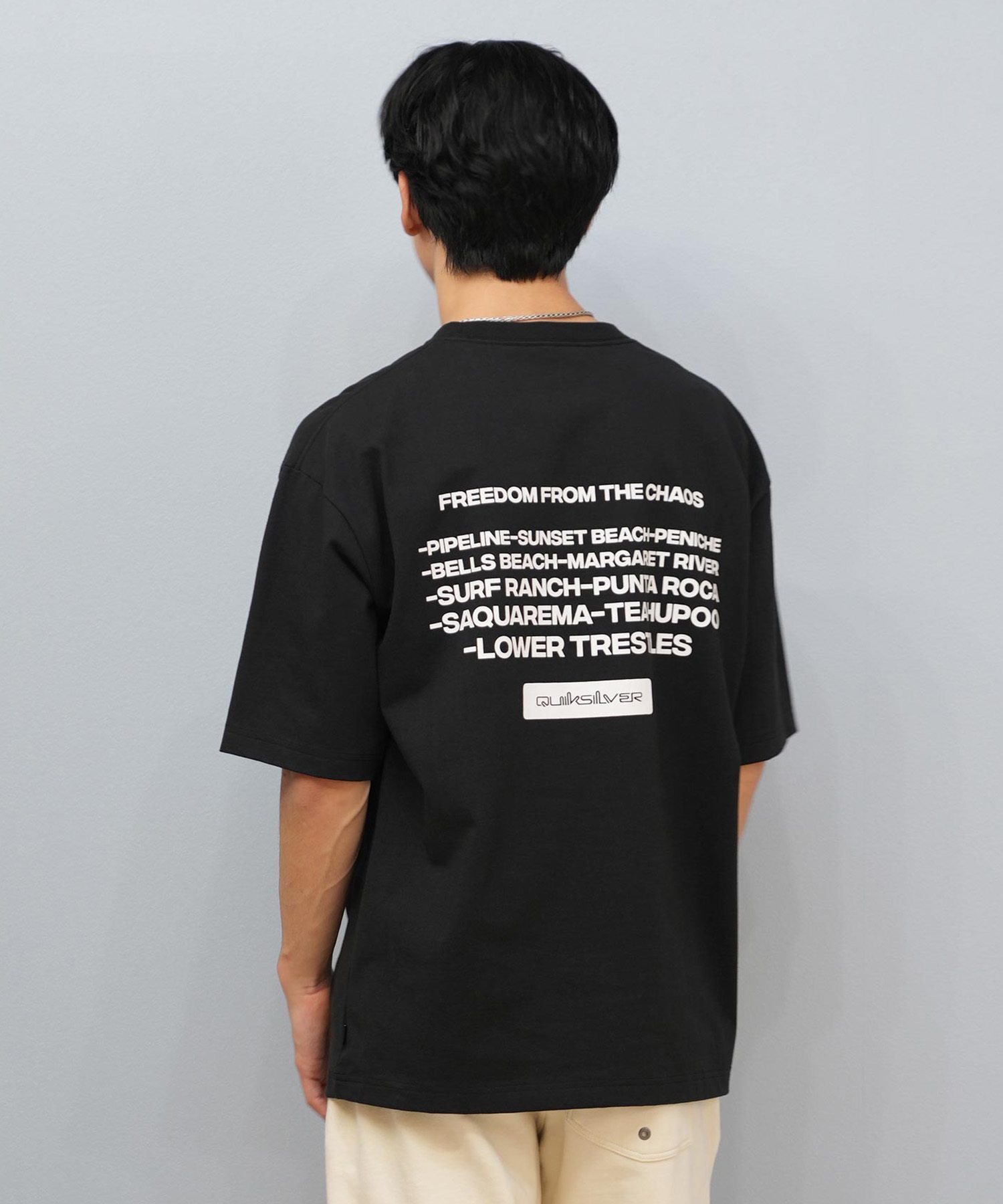 QUIKSILVER クイックシルバー 半袖 Tシャツ メンズ ロゴ バック