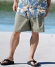 QUIKSILVER クイックシルバー ショートパンツ メンズ ショーツ ハーフパンツ TAXER WS EQYWS03877(CJZ0-S)