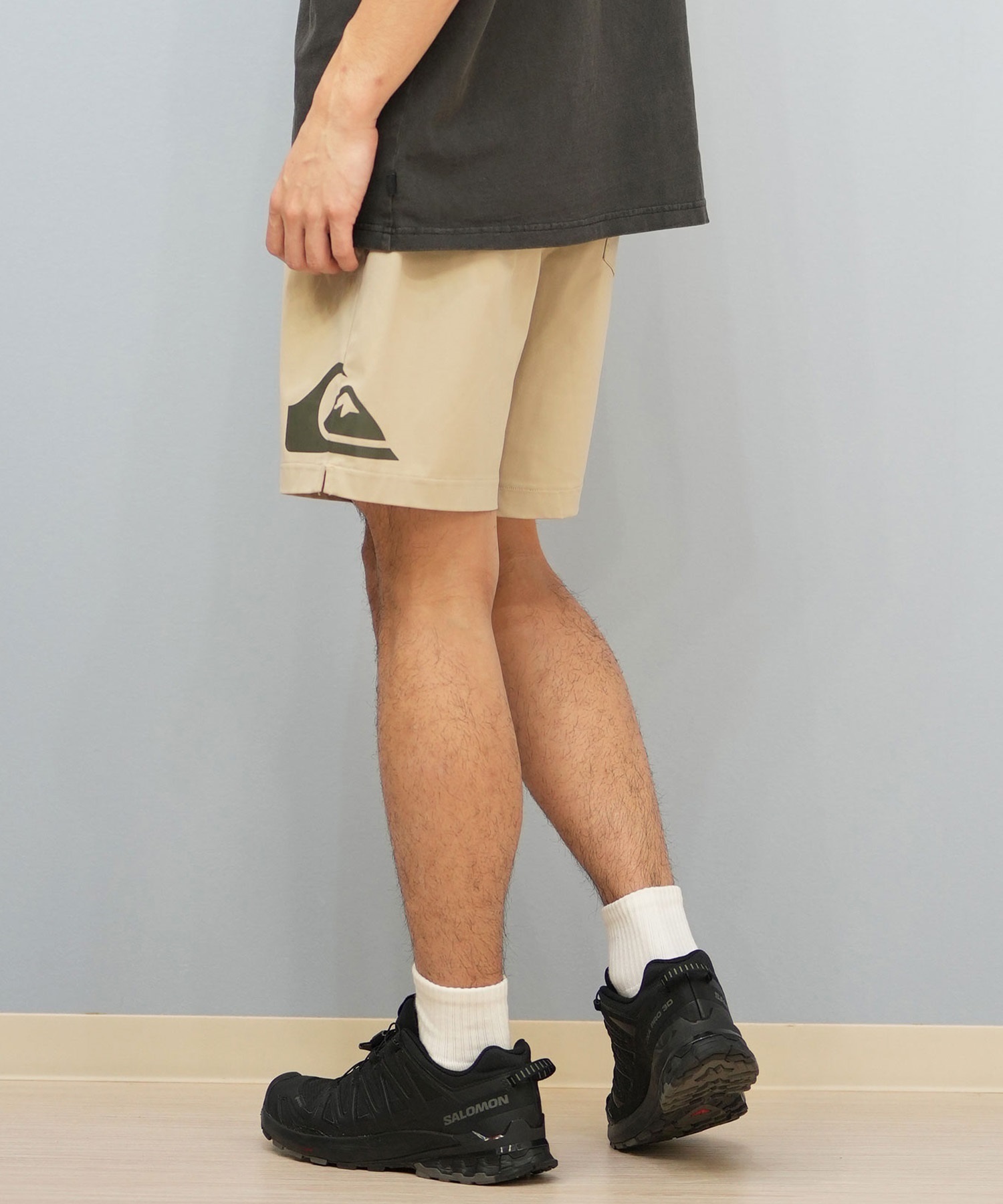 QUIKSILVER クイックシルバー ハーフパンツ ショートパンツ メンズ