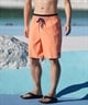QUIKSILVER クイックシルバー 水着 海パン トランクス サーフパンツ メンズ ボードショーツ 19インチ EVERYDAY SOLID VOLLEY 19 EQYJV04137(KVJ0-S)