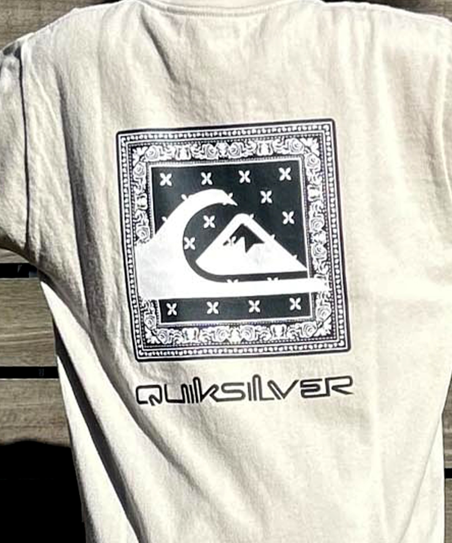QUIKSILVER クイックシルバー キッズ 半袖 Tシャツ バック