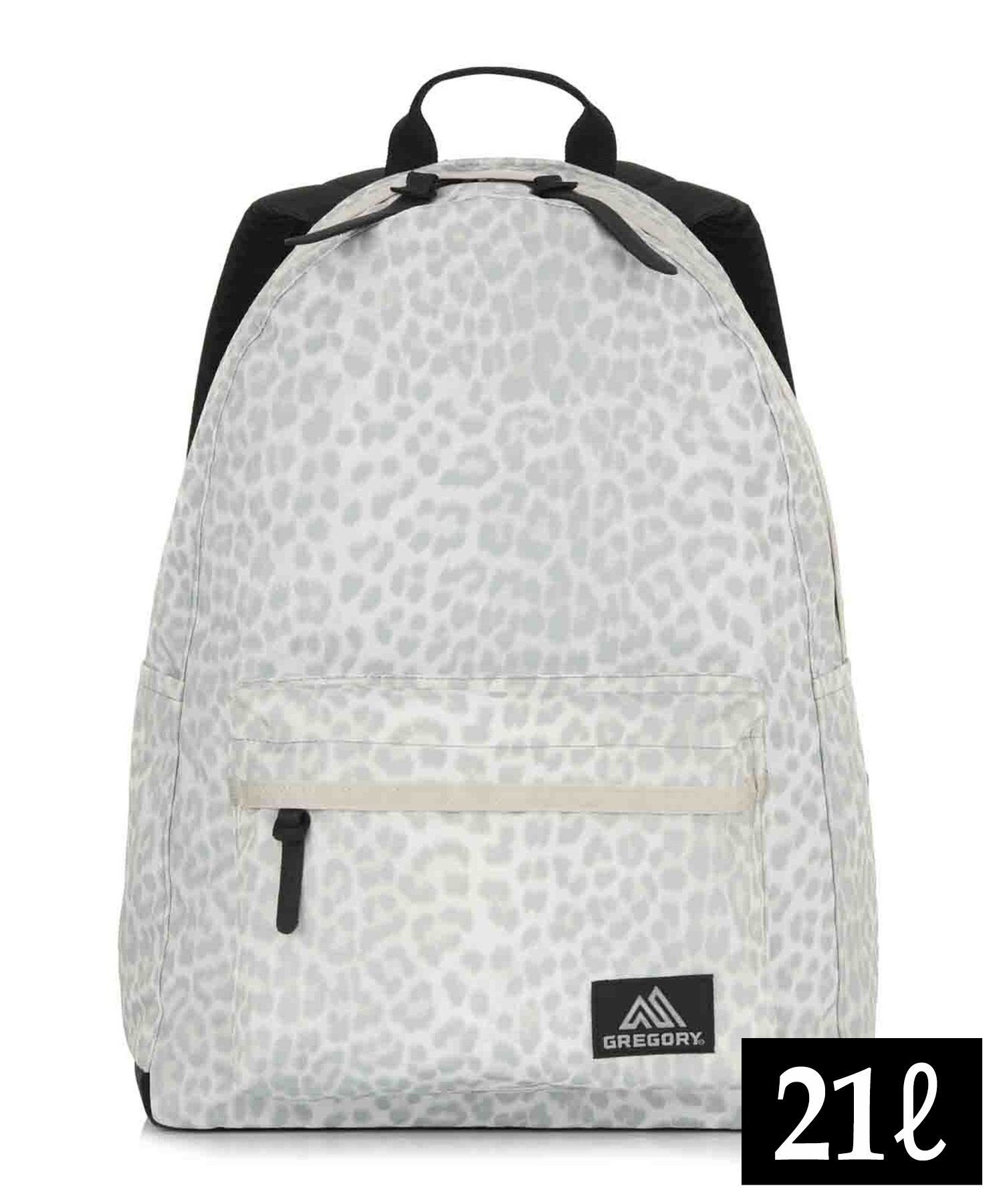 GREGORY グレゴリー バックパック リュック リラックスデイ スノー