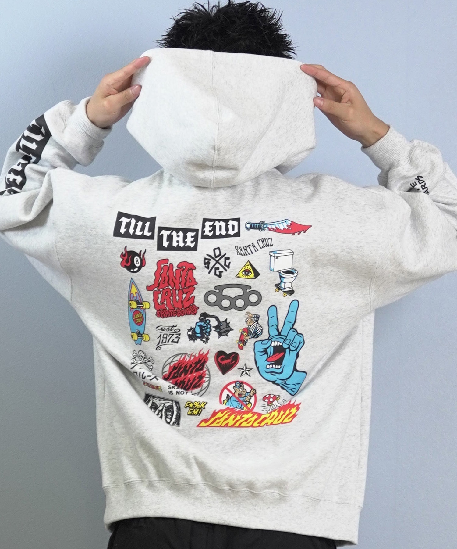 SANTACRUZ サンタクルーズ プルオーバー パーカー メンズ バック