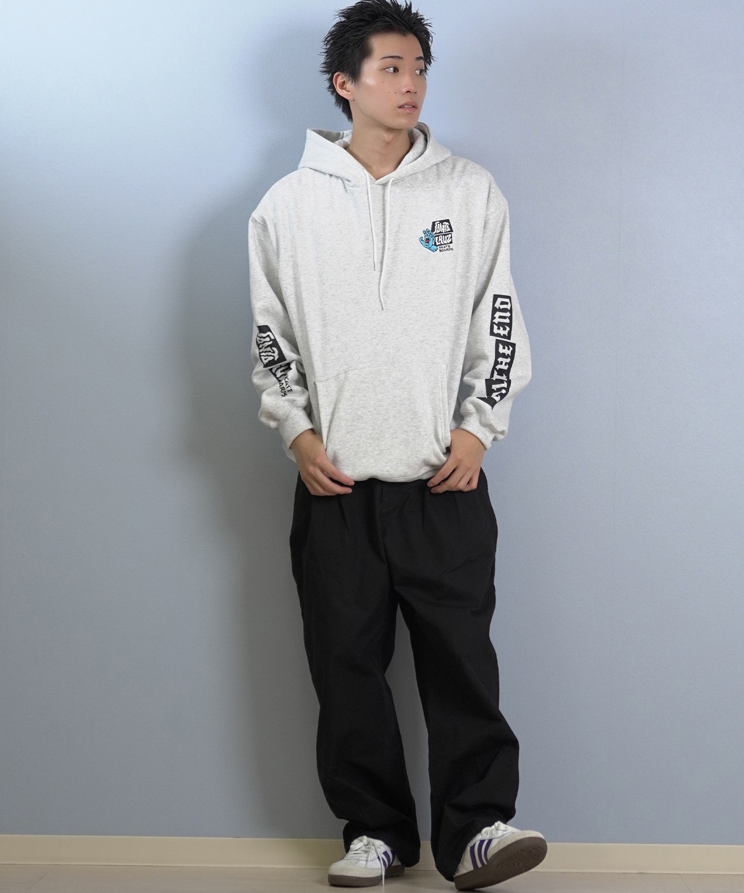 SANTACRUZ サンタクルーズ プルオーバー パーカー メンズ バック