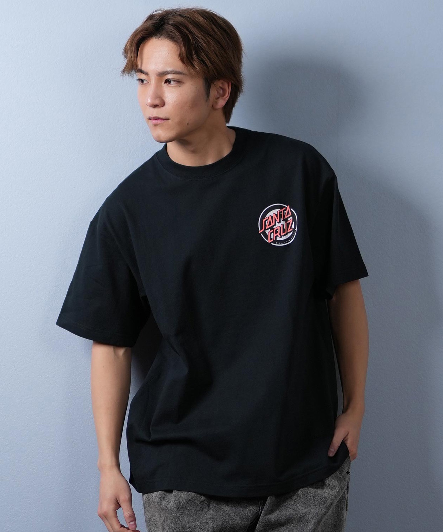 SANTACRUZ サンタクルーズ 半袖 Tシャツ メンズ バックプリント ロゴ