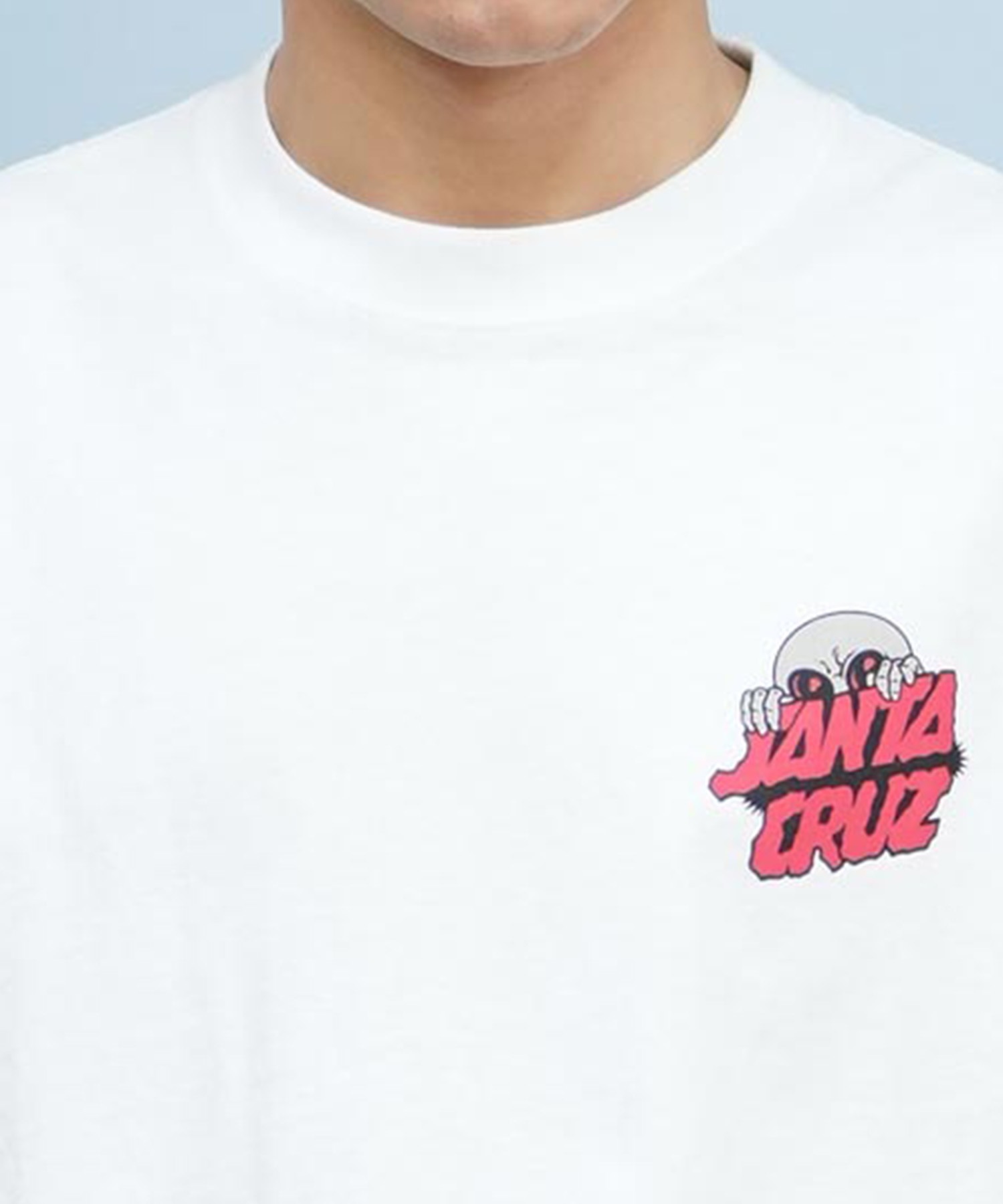 SANTACRUZ サンタクルーズ 半袖 Tシャツ メンズ バックプリント