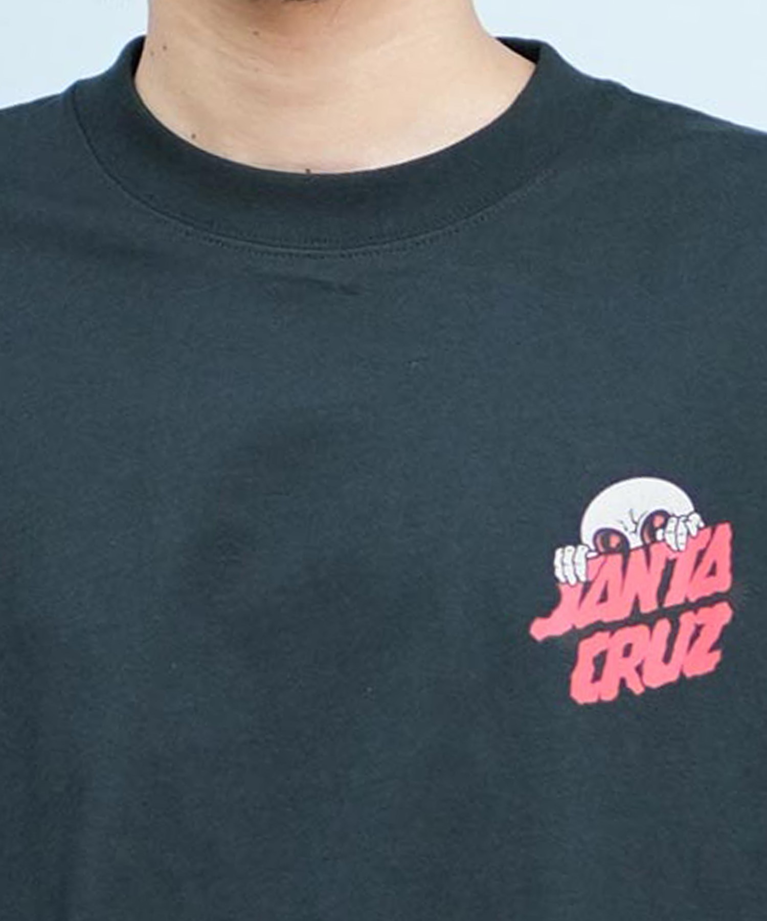 SANTACRUZ サンタクルーズ 半袖 Tシャツ メンズ バックプリント