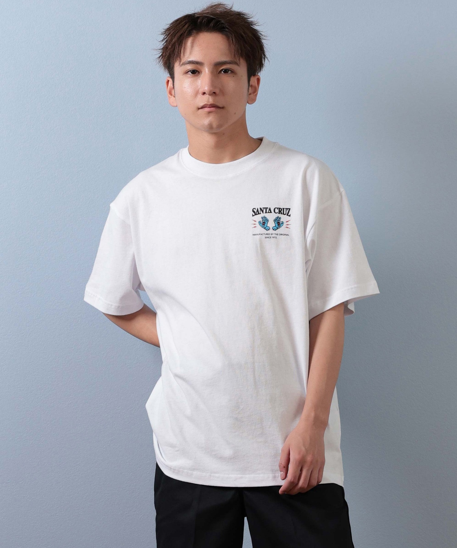 SANTACRUZ サンタクルーズ 半袖 Tシャツ メンズ バックプリント