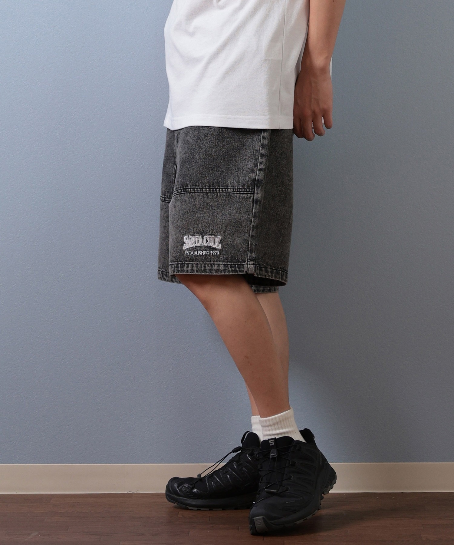 SANTA CRUZ サンタクルーズ ハーフパンツ ショートパンツ メンズ