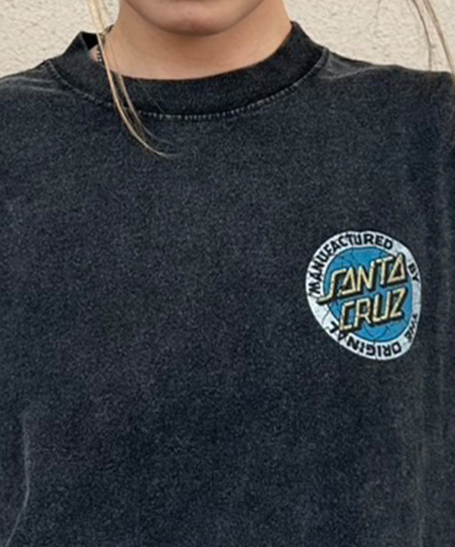 SANTA CRUZ Tシャツ サンタクルーズ　サイズL ヴィンテージ SANTA CRUZ サンタクルーズ 半袖 Tシャツ レディース バック