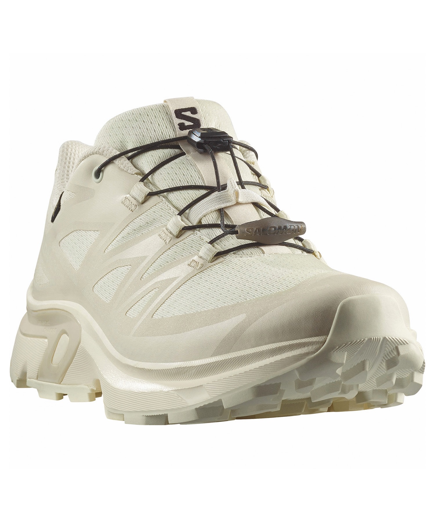 SALOMON サロモン エックスティー イーブイアール ゴアテックス