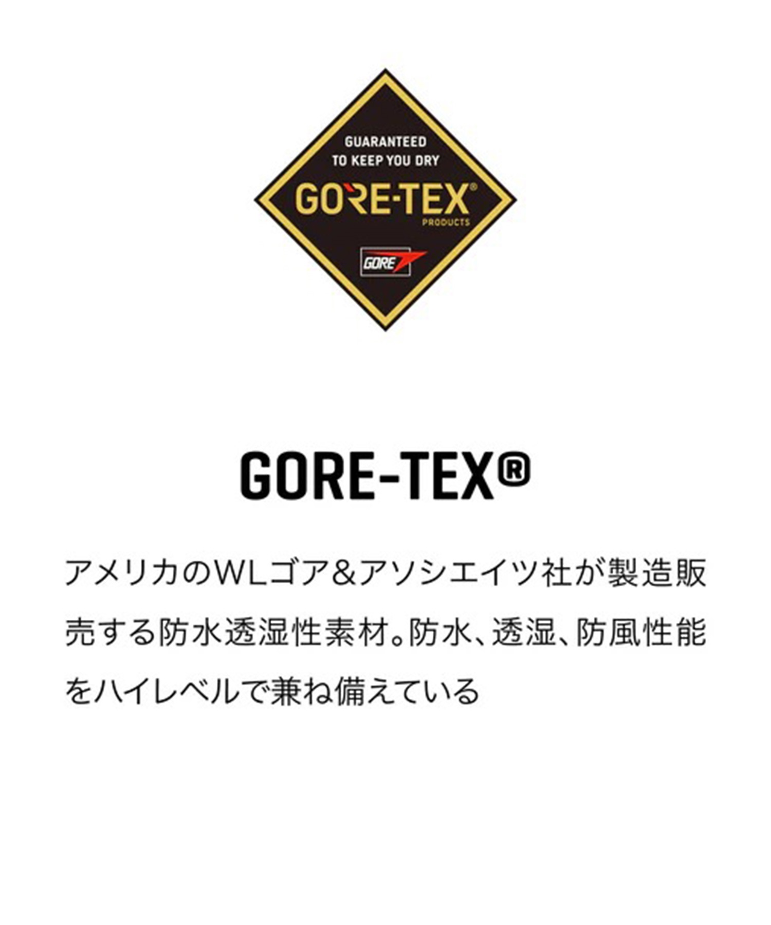 DAKINE ダカイン WOMENS SEQUOIA GORE-TEX MITTS ゴアテックス ミトン