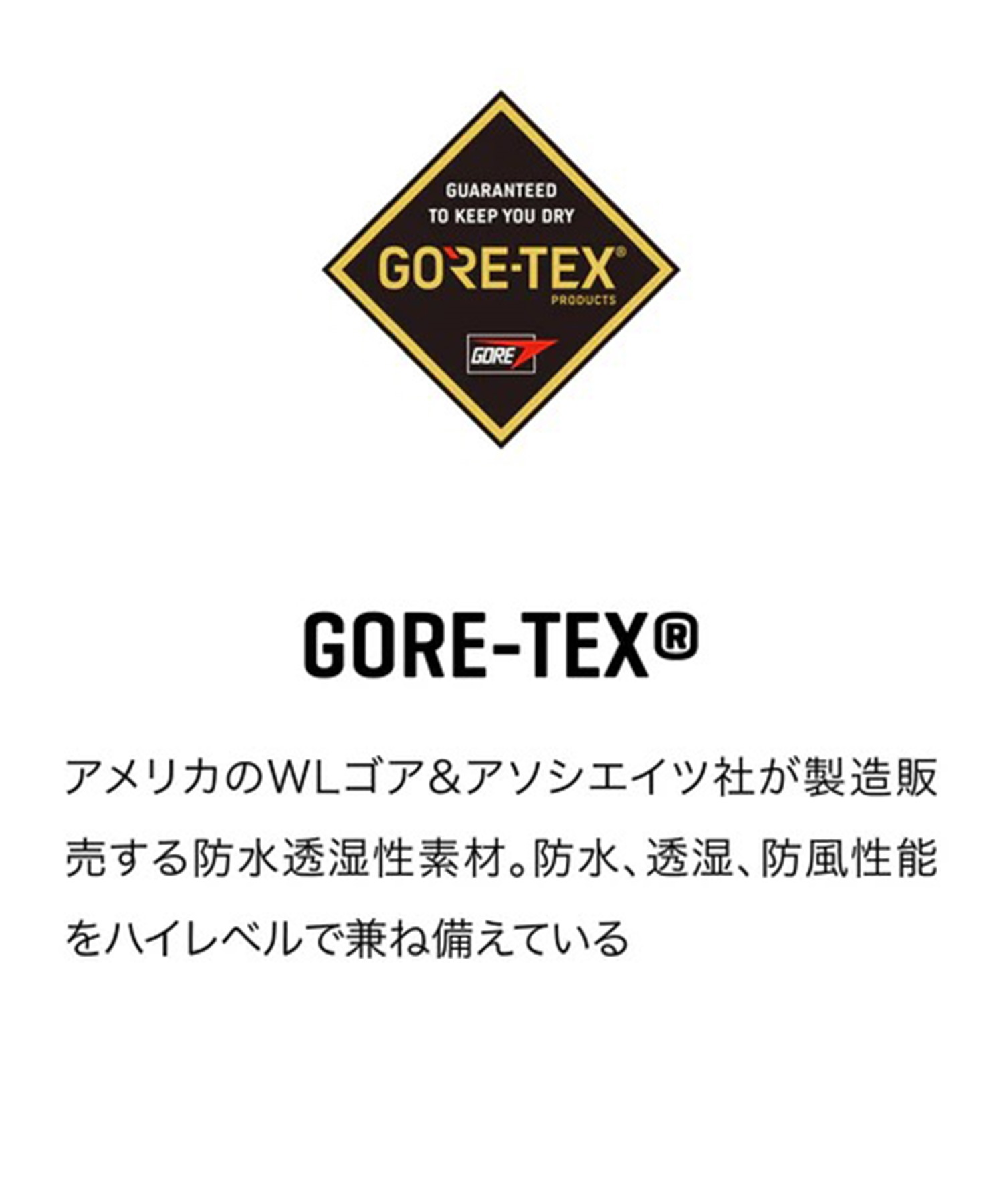 DAKINE ダカイン SATURN GORE-TEX MITTS ゴアテックス ミトン