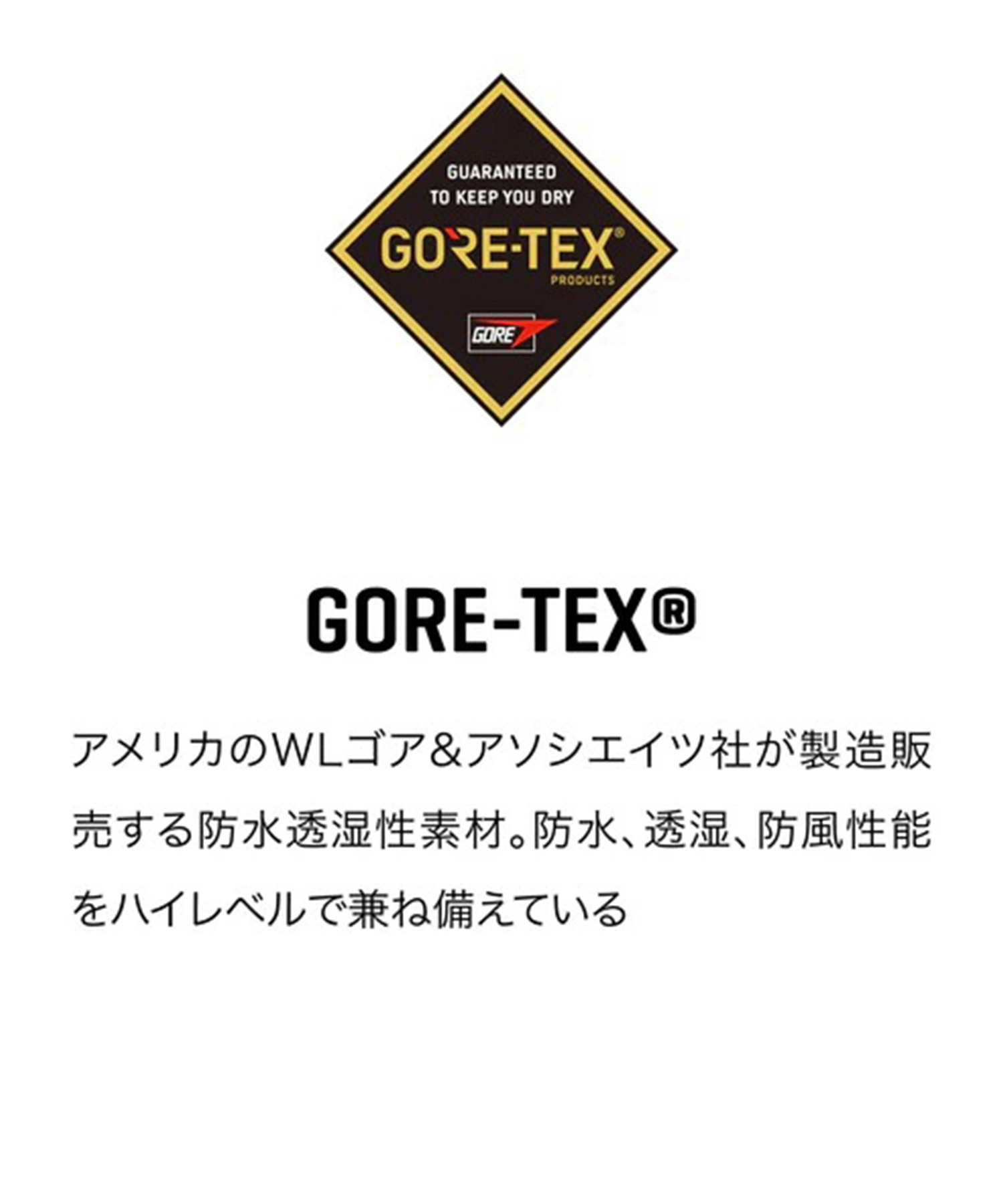 DAKINE ダカイン TITAN GORE-TEX MITTS ゴアテックス ミトン