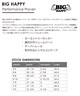 CHANNEL ISLANDS チャネルアイランズ ビッグハッピー スパインテック ショートボード サーフボード(CLR-6.02ft)