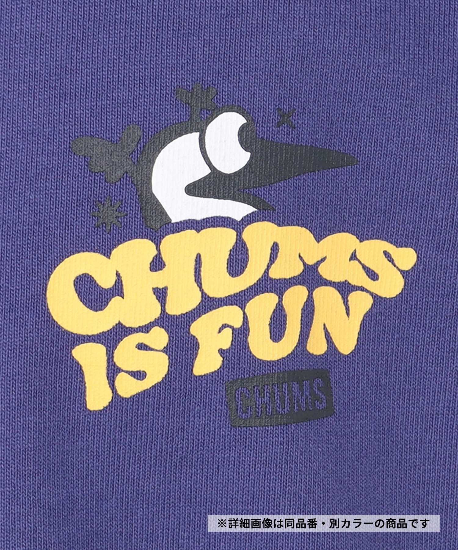 CHUMS チャムス 半袖 Tシャツ レディース バックプリント チャムスイズファン CH11-2522 5