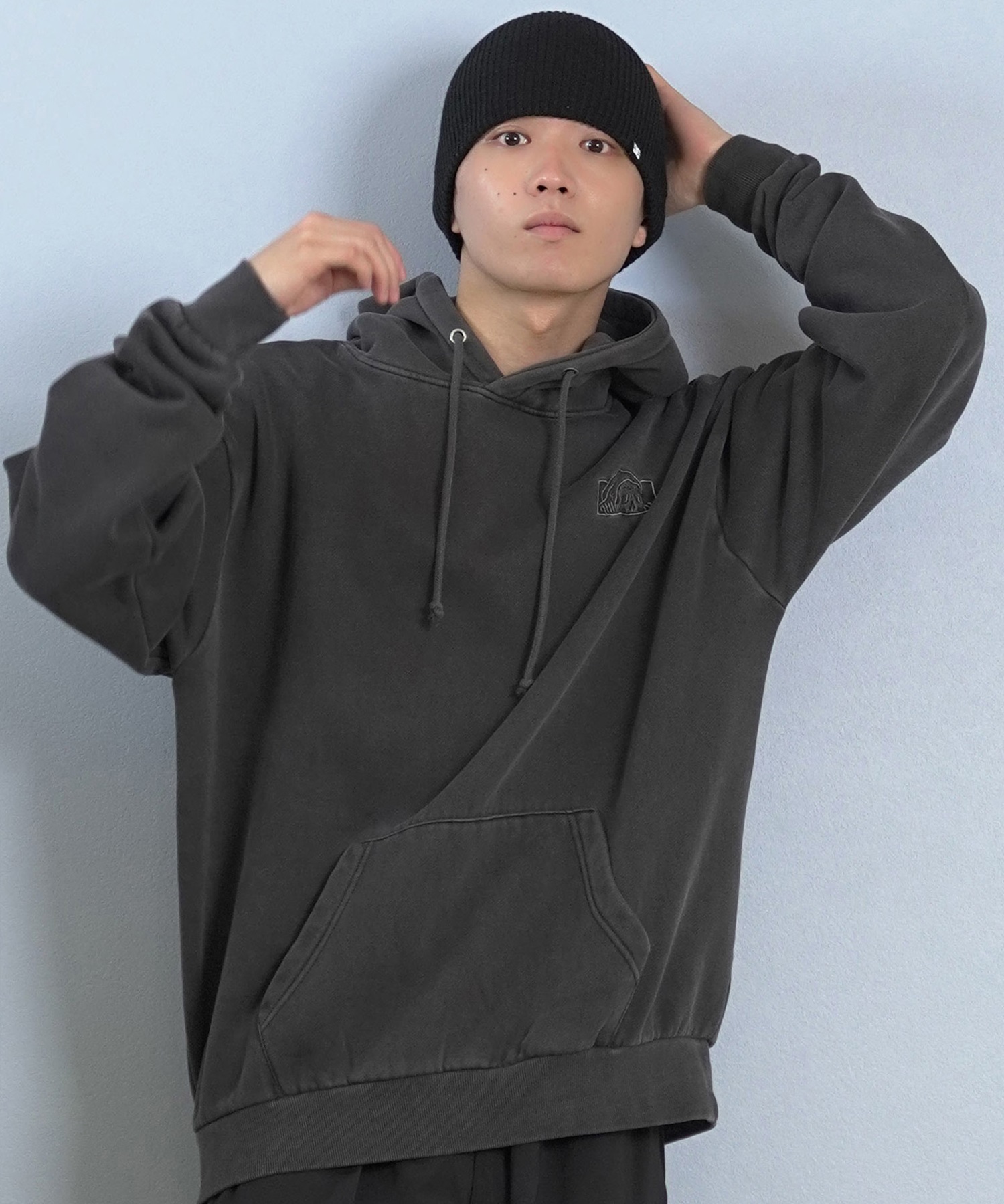 DC ディーシー ビーニー ニット帽 SKULLY DBE254221 ニット帽/ビーニー