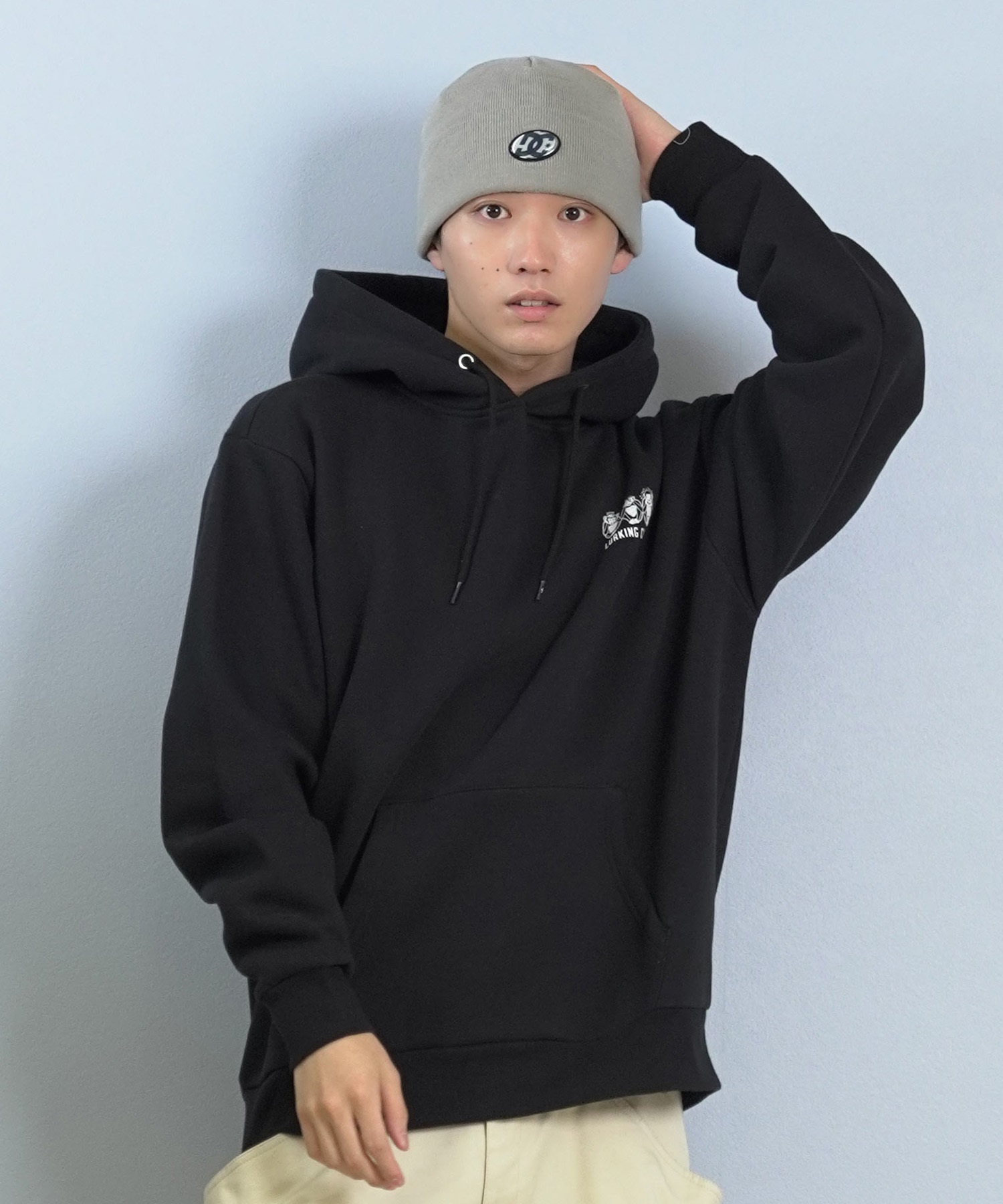DC ディーシー ON THE BUBBLE BEANIE ビーニー ニット帽 DBE254225