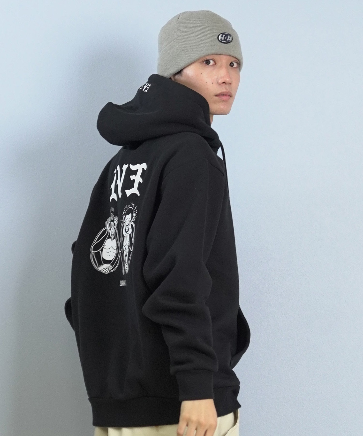 ブラウニーDD DC SHOES（ディーシーシューズ） ニット帽 ニットキャップ DC