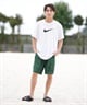 NIKE ナイキ 水着 海パン トランクス サーフパンツ メンズ 水陸両用 カーゴショーツ NESSF452(N392-S)
