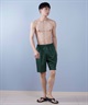 NIKE ナイキ 水着 海パン トランクス サーフパンツ メンズ 水陸両用 ヒーロースタイル9ボレーショーツ NESSF558(N392-S)