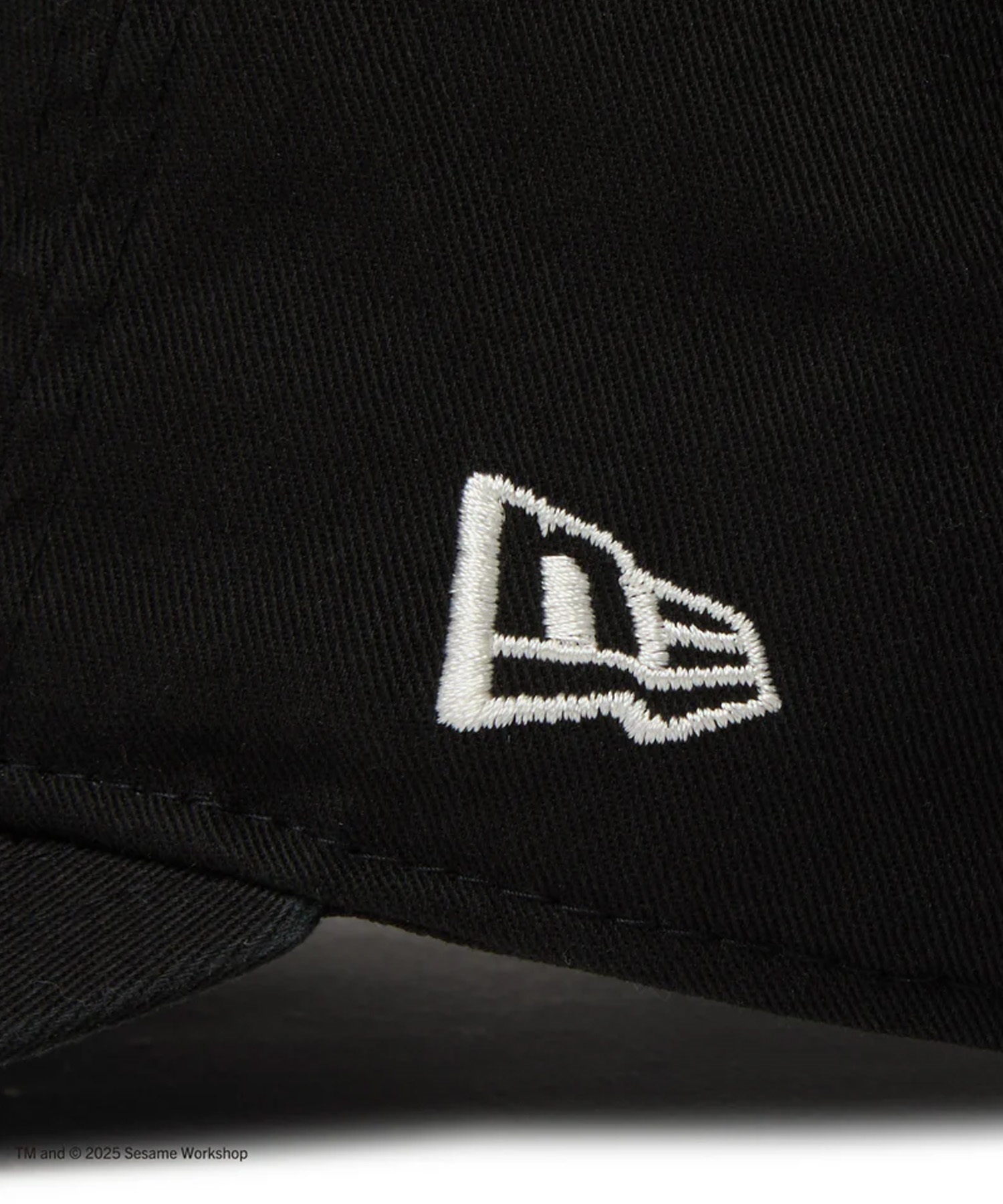 NEW ERA ニューエラ キャップ 帽子 9THIRTY SESAME STREET セサミ