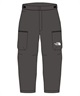 【早期購入/店頭受取対象外】THE NORTH FACE ノースフェイス スノーボード ウェア パンツ ユニセックス LAYBACK RIDE PANT NS62514 25-26モデル(AG-M)