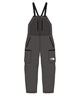 【早期購入/店頭受取対象外】THE NORTH FACE ノースフェイス スノーボード ウェア パンツ ユニセックス LAYBACK RIDE BIB NS62513 25-26モデル MM C28(AG-M)
