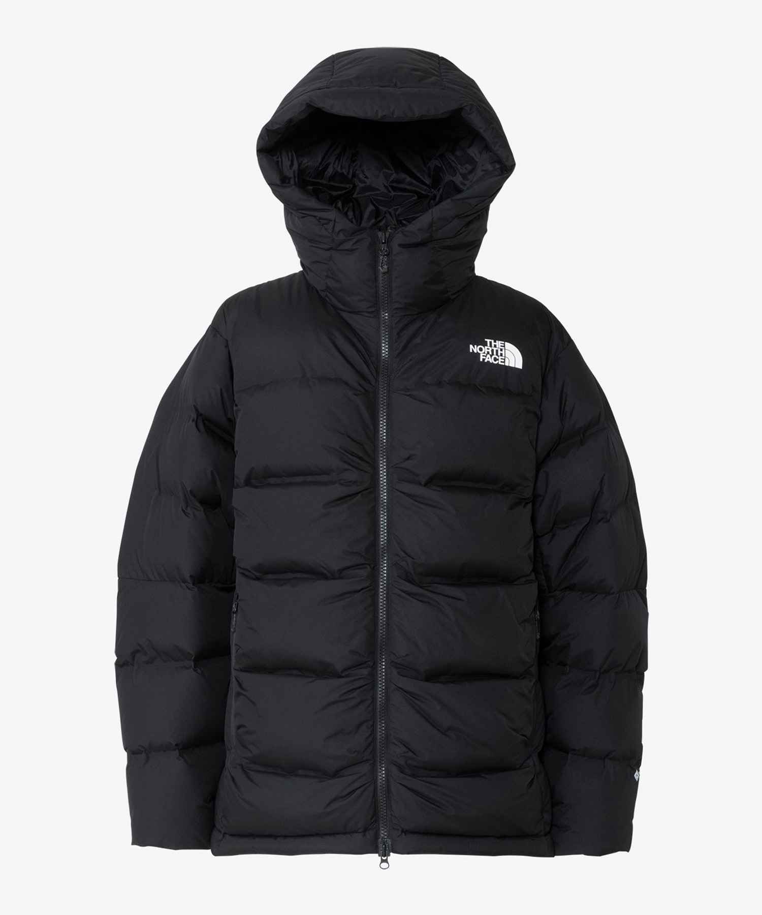 THE NORTH FACE ザ・ノース・フェイス アウター ダウンジャケット メンズ GORE-TEX 防風 防水 保温 防寒 EX ビレイヤーパーカ ND92515(FI-S)