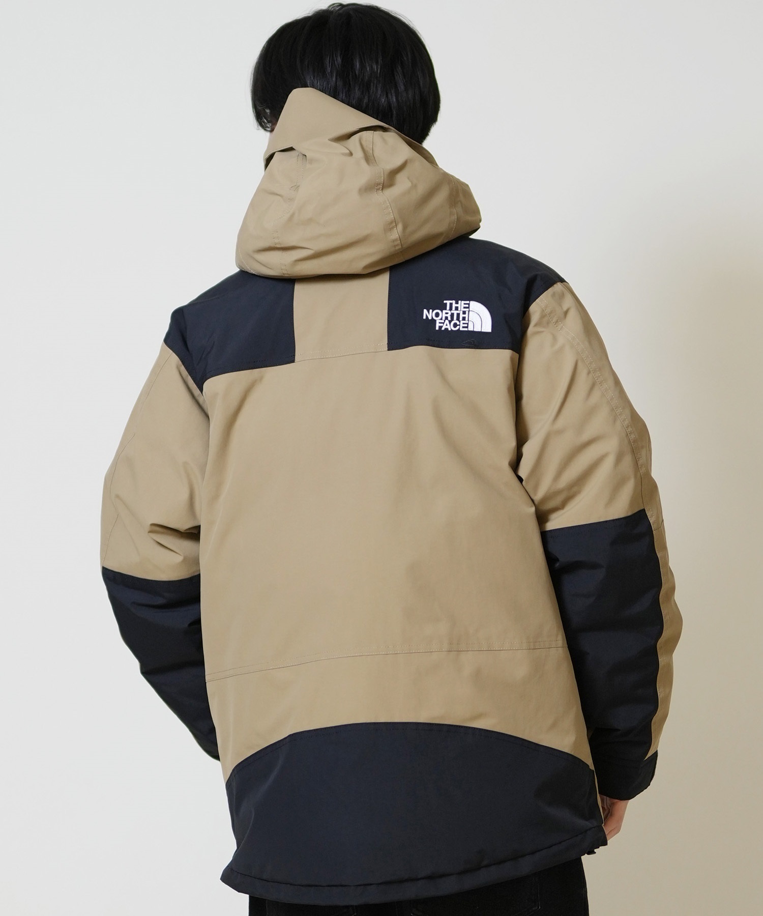 THE NORTH FACE ザ・ノース・フェイス ダウン ジャケット メンズ 防水