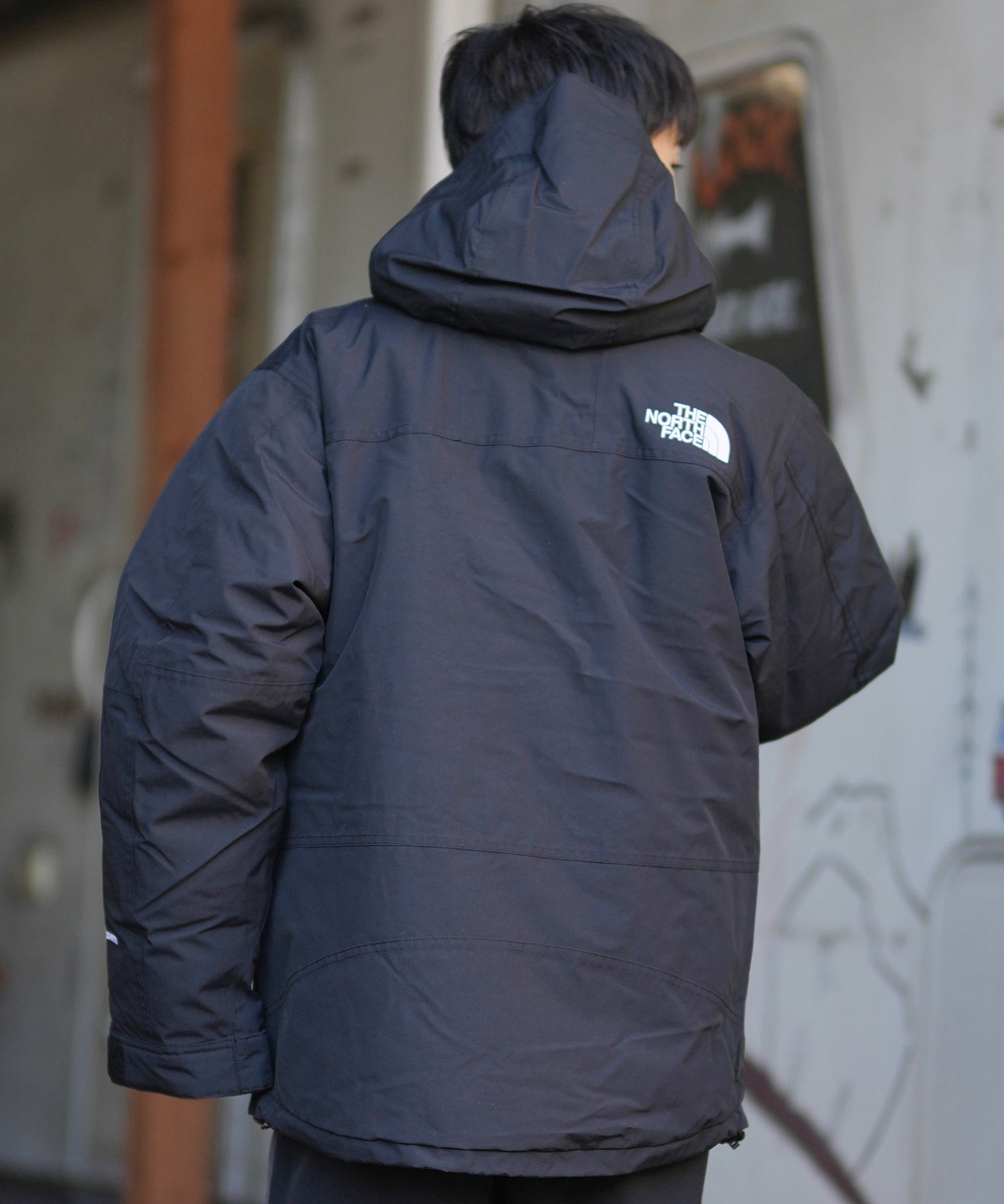 THE NORTH FACE ザ・ノース・フェイス ダウン ジャケット メンズ 防水