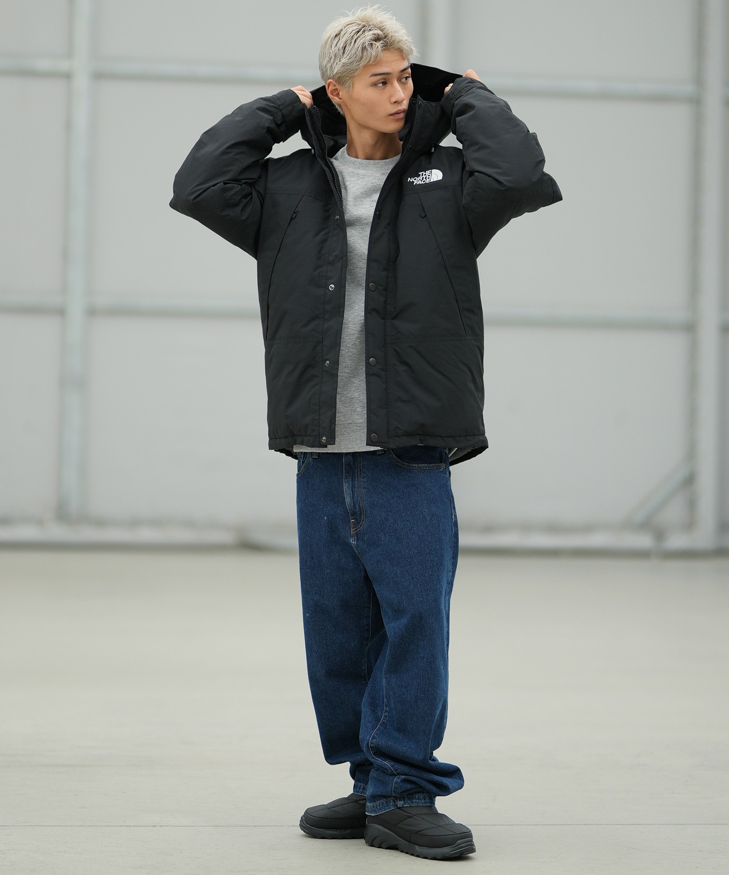 THE NORTH FACE ザ・ノース・フェイス ダウン ジャケット メンズ 防水