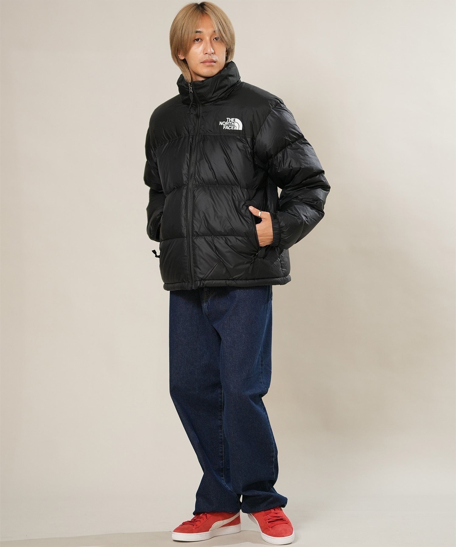 THE NORTH FACE ザ・ノース・フェイス ダウン ジャケット メンズ 撥水