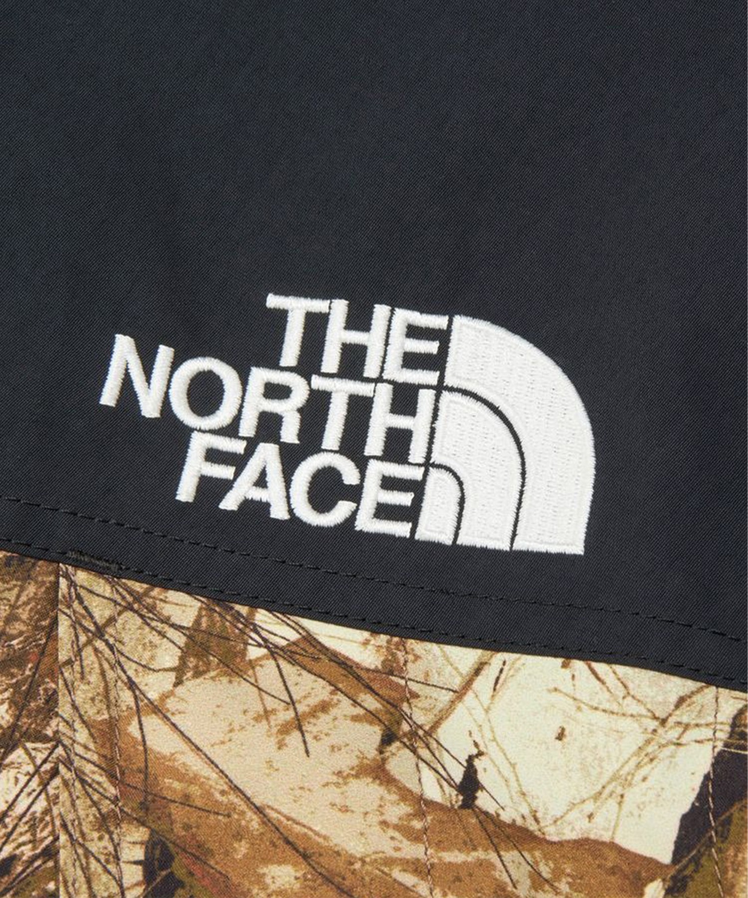 THE NORTH FACE ザ・ノース・フェイス マウンテンパーカー メンズ GORE