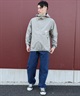 THE NORTH FACE ザ・ノース・フェイス マウンテンパーカー メンズ ワンポイント 防水 撥水 COMPACT JACKET NP72530(ST-S)