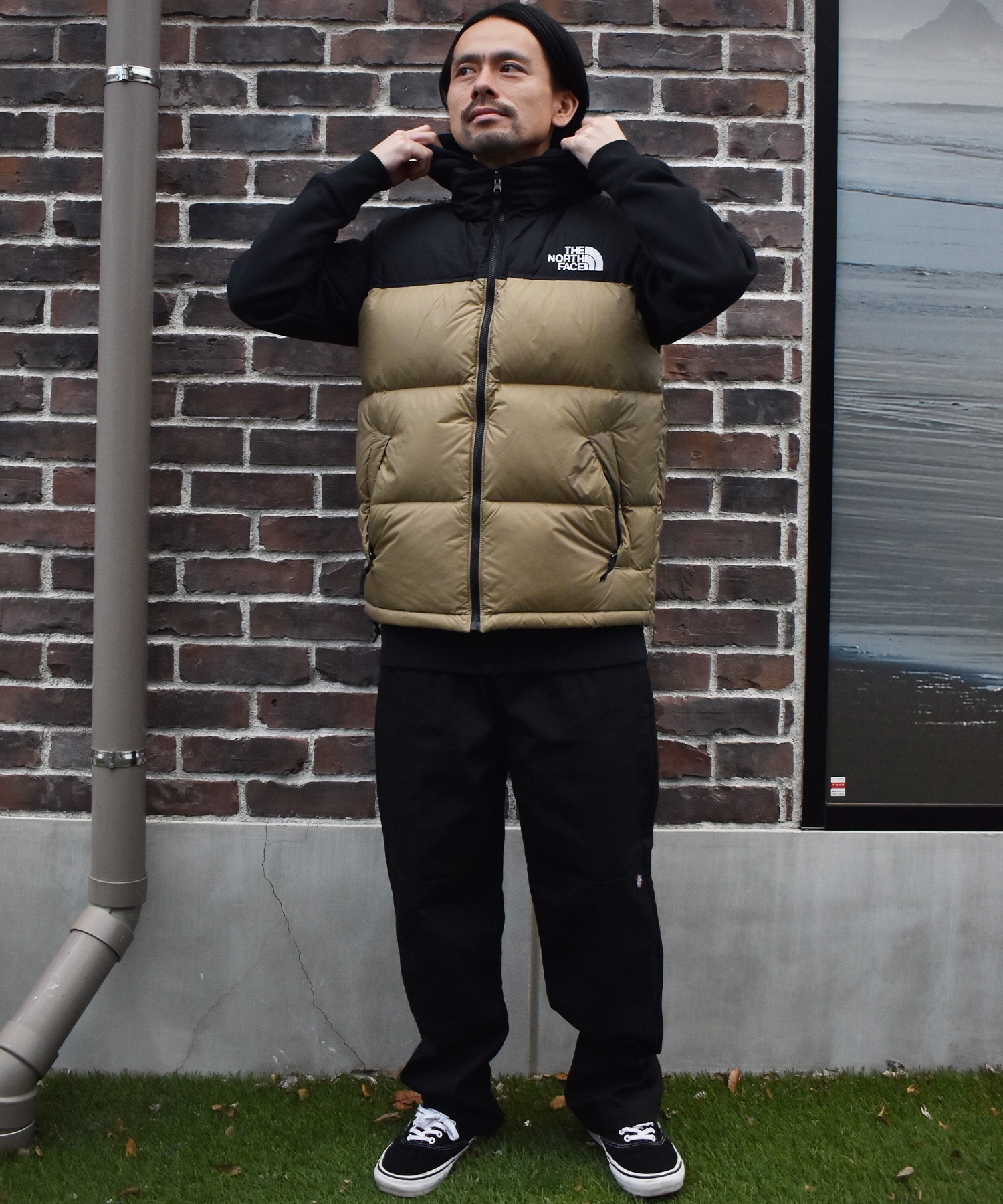 THE NORTH FACE ザ・ノース・フェイス ダウン ベスト メンズ 撥水