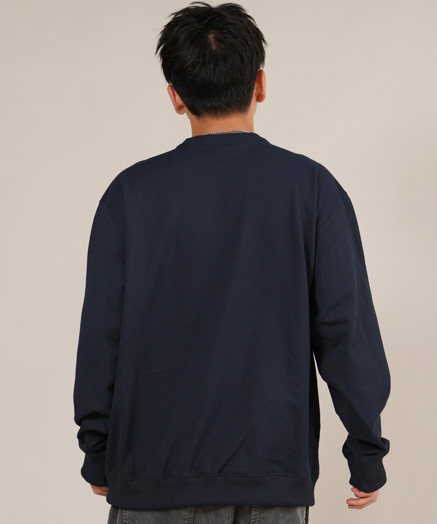 THE NORTH FACE ザ・ノース・フェイス トレーナー スウェット メンズ