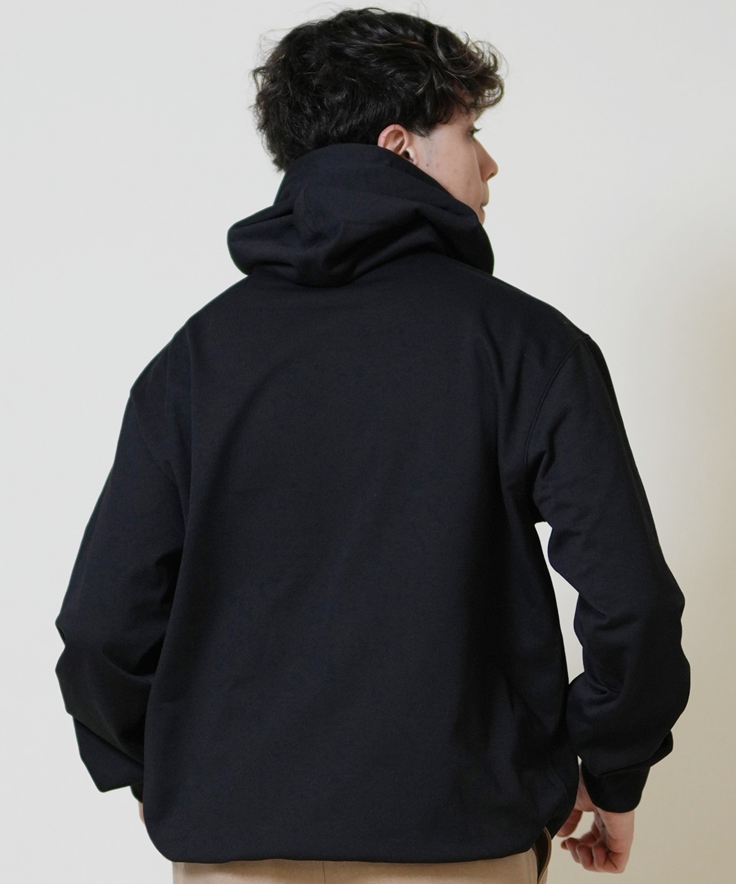 THE NORTH FACE ザ・ノース・フェイス プルオーバー パーカー メンズ