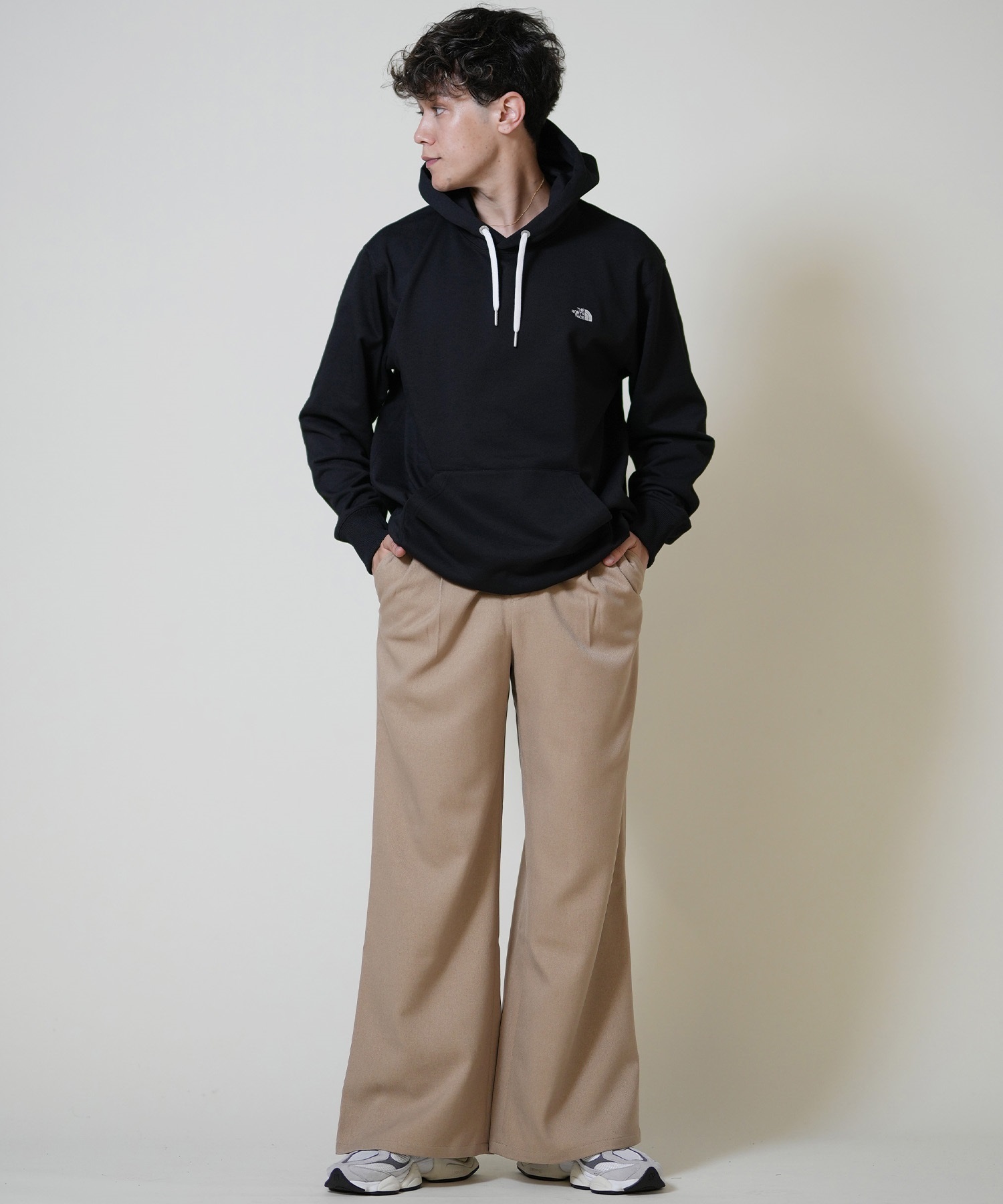 THE NORTH FACE ザ・ノース・フェイス プルオーバー パーカー メンズ