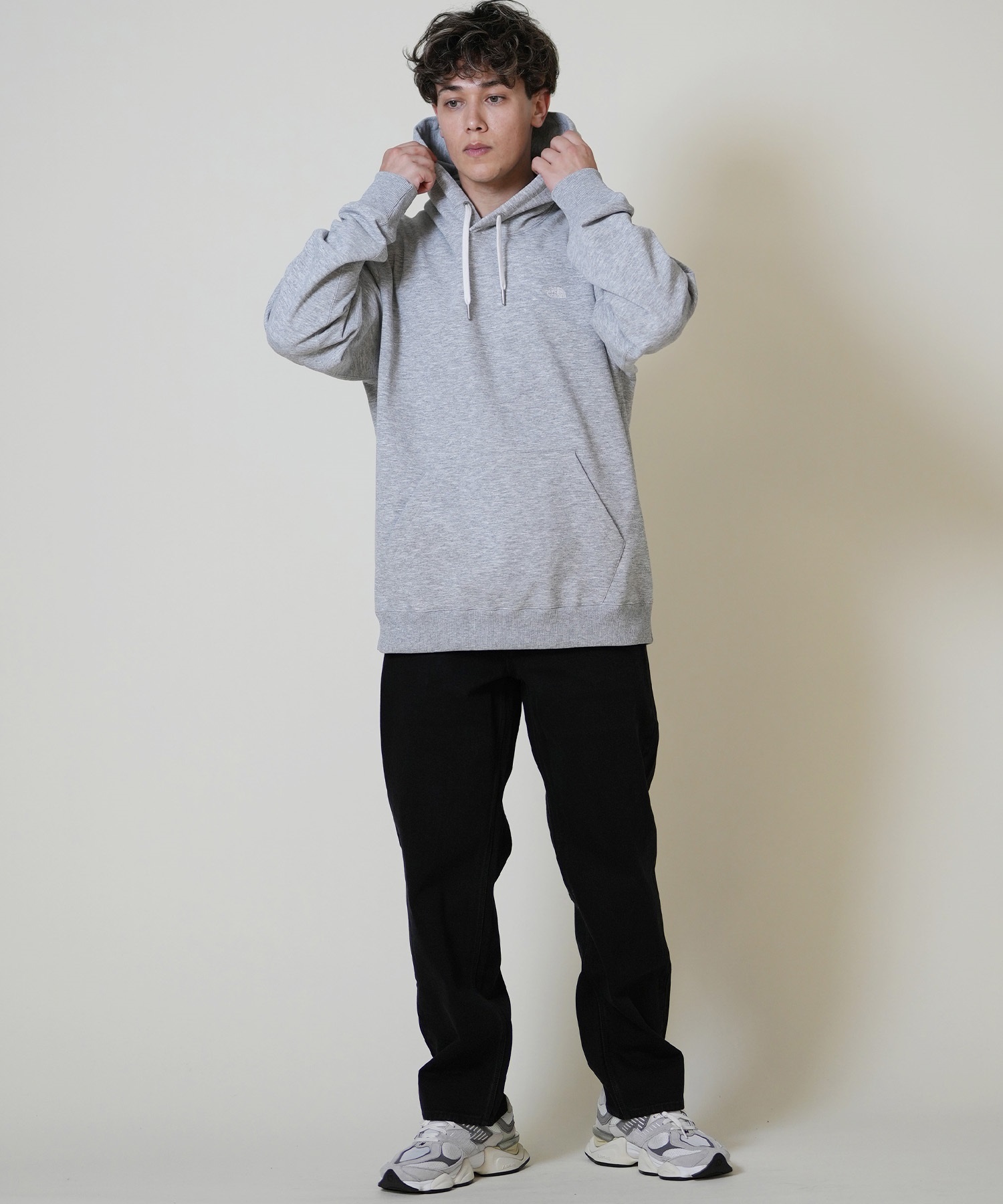 THE NORTH FACE メンズ THE NORTH FACE ザ・ノース・フェイス ジャケット メンズ