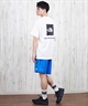 THE NORTH FACE ザ・ノース・フェイス 半袖 Tシャツ メンズ ショートスリーブバックスクエアートラバースロゴティー NT32543(W-S)