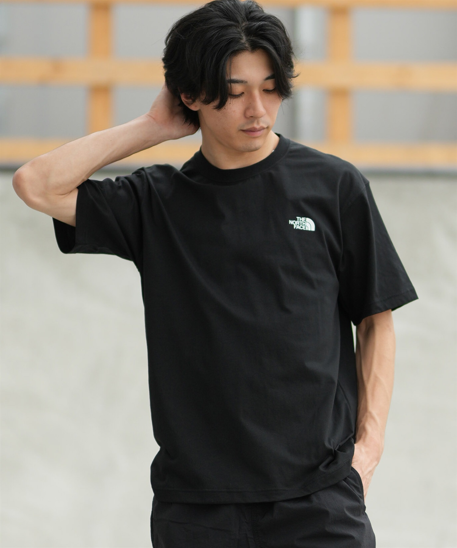 THE NORTH FACE ノースフェイス 半袖 Tシャツ メンズ バックプリント