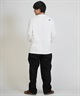 THE NORTH FACE ザ・ノース・フェイス 長袖 Tシャツ ロンT メンズ ワンポイント ロゴ 速乾 LS FD NUPTSE CTN T  NT62531(W-M)