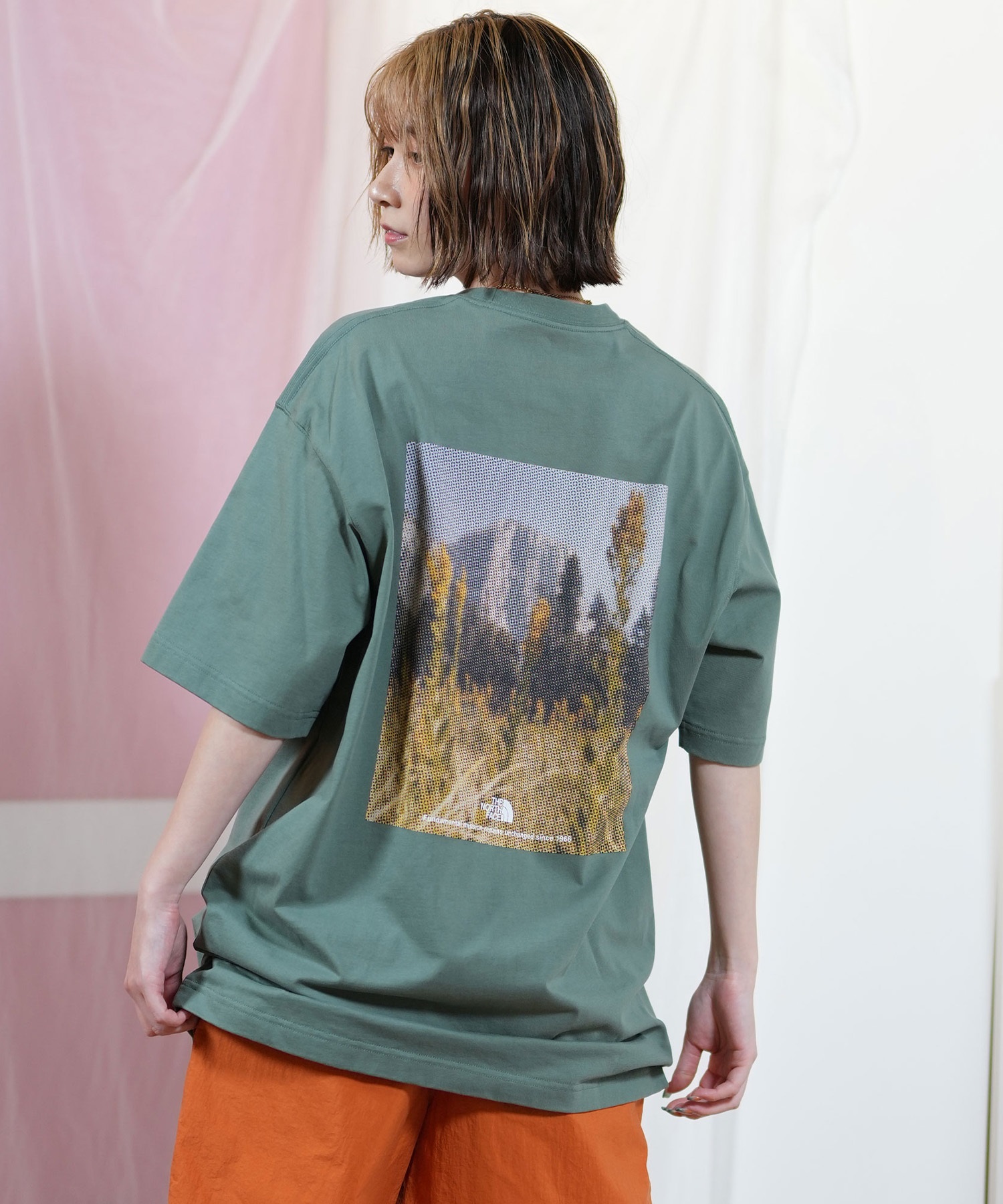 THE NORTH FACE ザ・ノース・フェイス 半袖 Tシャツ レディース バックプリント ショートスリーブピクセルプラントコットンティー NT32549(W-XS)