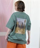 THE NORTH FACE ザ・ノース・フェイス 半袖 Tシャツ レディース バックプリント ショートスリーブピクセルプラントコットンティー NT32549(W-XS)