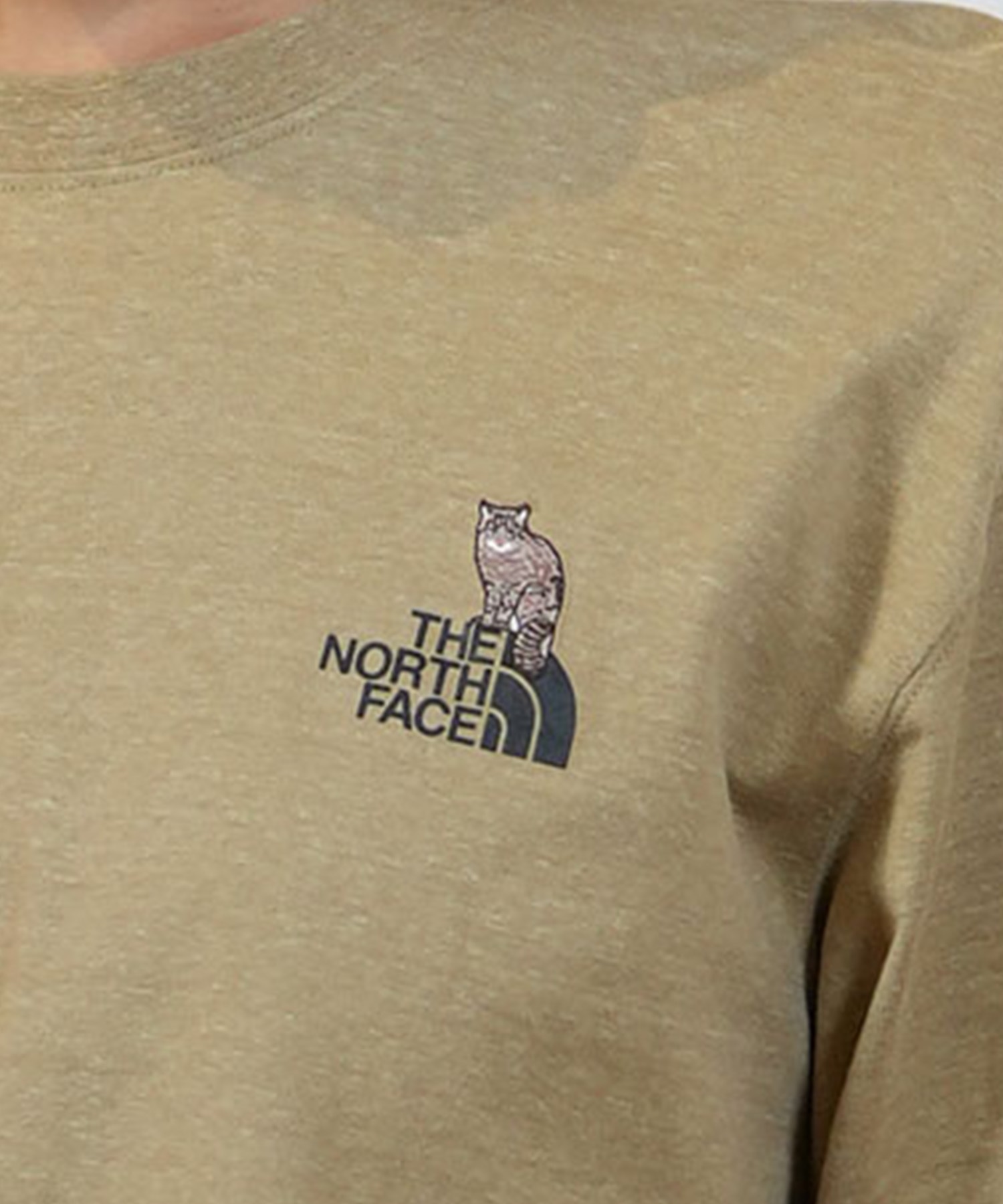 THE NORTH FACE ザ・ノース・フェイス 長袖 Tシャツ レディース ロンT