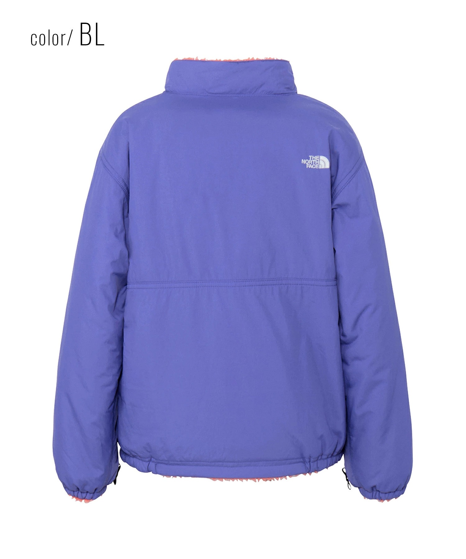 THE NORTH FACE ザ・ノース・フェイス キッズ ジュニア 子供