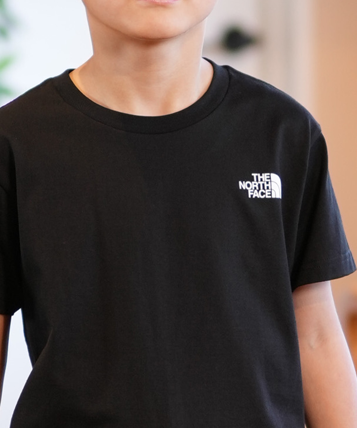 THE NORTH FACE ザ・ノース・フェイス Tシャツ キッズ 半袖 ショートスリーブバックスクエアロゴティー NTJ32538(W-130cm)